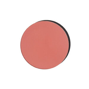 REFILL SATIN BLUSH 02 Daily Bliss